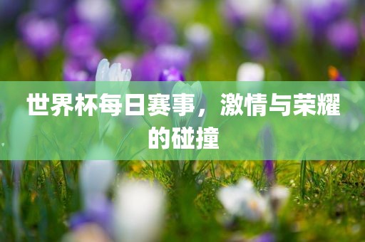 世界杯每日赛事，激丹东日丰电子有限公司情与荣耀的碰撞