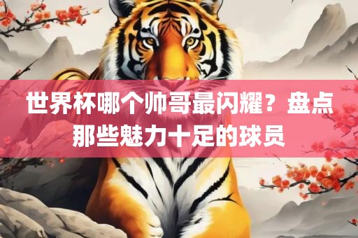 世界杯哪个帅哥最闪耀？盘丹东日丰电子有限公司点那些魅力十足的球员