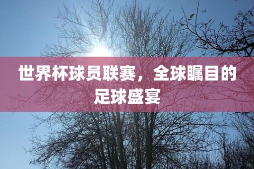 世界杯球员联赛，全球瞩目的足球盛宴