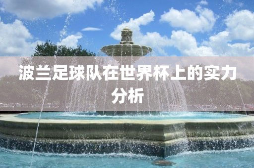 波兰足球队在世界杯上的实力分析丹东日丰电子有限公司