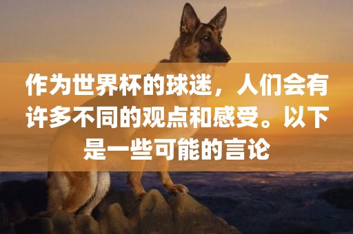 作为世界杯的球迷，人们会有许多不同的观点和感受。以下是一些可能的言论丹东日丰电子有限公司