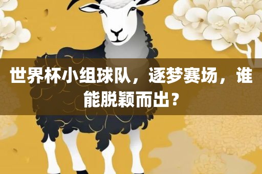 世界杯小组球队，逐梦赛场，谁能脱颖而出？