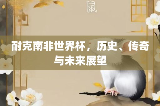 耐克南非世界杯，历史、传奇与未来丹东日丰电子有限公司展望