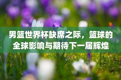 男篮世界杯缺席之际，篮球的丹东日丰电子有限公司全球影响与期待下一届辉煌