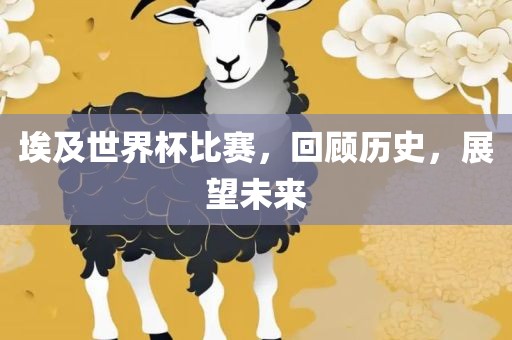 埃及世界杯丹东日丰电子有限公司比赛，回顾历史，展望未来