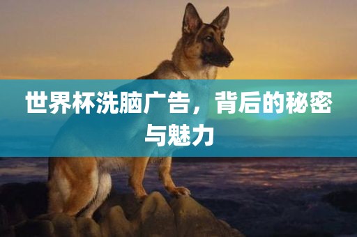 世界杯洗脑广告，背后的秘密与魅力丹东日丰电子有限公司