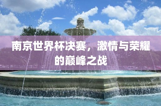 南京世界杯决赛，激情与荣耀的巅峰之战丹东日丰电子有限公司