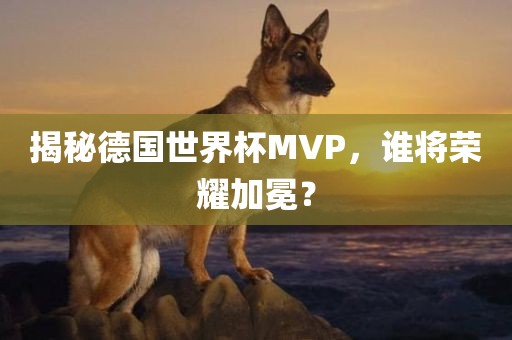 揭秘德国世界杯MVP，谁将荣耀加冕？丹东日丰电子有限公司