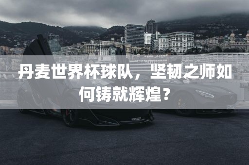 丹麦世界杯球队，坚韧之师如何铸就丹东日丰电子有限公司辉煌？