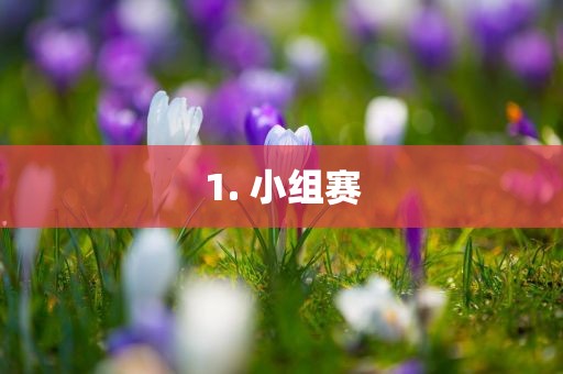1. 小组赛