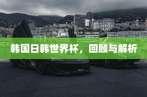 韩国日丹东日丰电子有限公司韩世界杯，回顾与解析