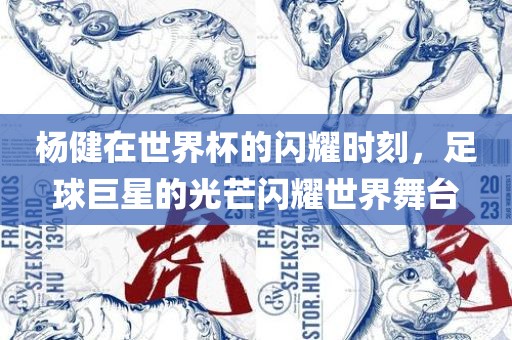 杨健在世界杯的闪耀时刻，足球巨星的光芒闪耀世界舞台丹东日丰电子有限公司