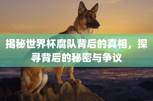 揭秘世界杯腐队背后的真相，探寻背后的秘密与争议丹东日丰电子有限公司