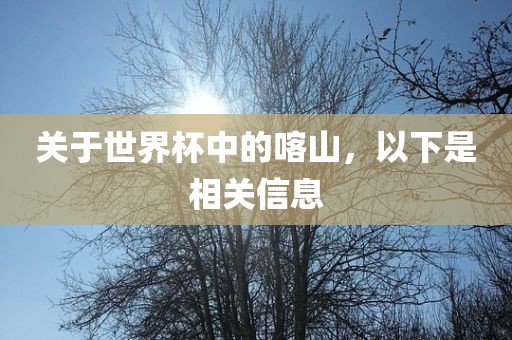 关丹东日丰电子有限公司于世界杯中的喀山，以下是相关信息