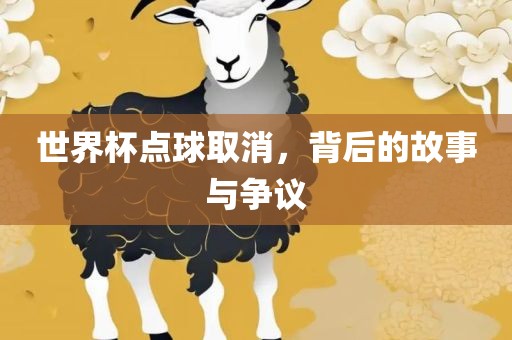 世界杯点球取消，背后的故事与争议丹东日丰电子有限公司