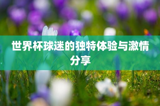 世界杯球迷的独特体验与激情分享