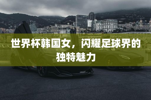 世界杯韩国女，闪耀足球界的独特魅力丹东日丰电子有限公司