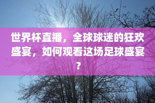 世界杯直播，全球球迷的狂欢盛宴，如何观看这场足球盛宴？丹东日丰电子有限公司
