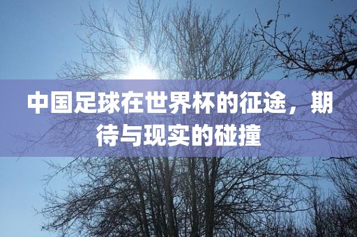 中国足球在世界杯的征途，期待与现实的碰撞