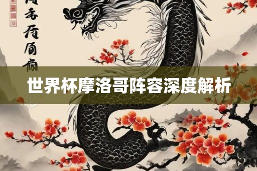 世界杯摩洛哥丹东日丰电子有限公司阵容深度解析