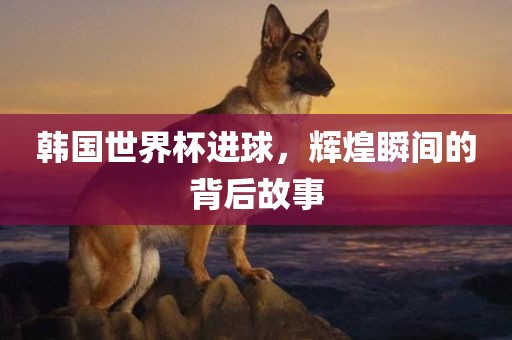 韩国世界杯丹东日丰电子有限公司进球，辉煌瞬间的背后故事