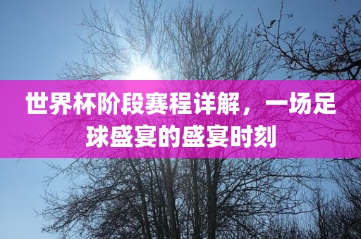 世界杯阶段赛程详解，一场足球盛宴的盛宴时刻丹东日丰电子有限公司