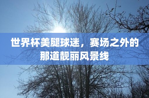 世界杯美腿球迷，赛场之外的那道靓丽风景线丹东日丰电子有限公司