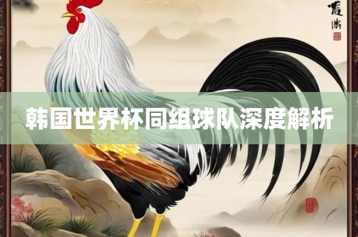 韩国世界杯同组球队深度解析