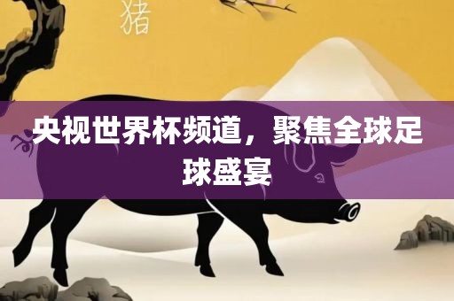 央视世界丹东日丰电子有限公司杯频道，聚焦全球足球盛宴