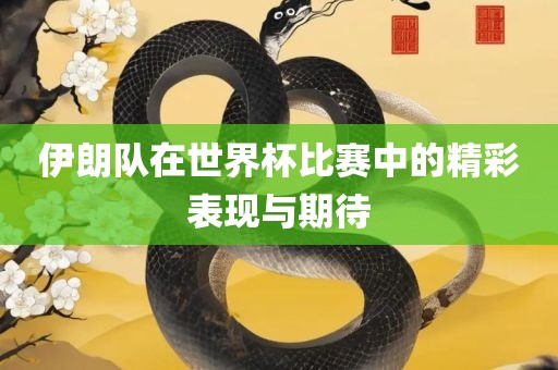 伊朗队在世界杯比赛中的精彩表现与期待丹东日丰电子有限公司