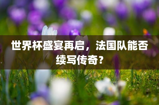 世界杯盛宴再启，法国队能否续写传丹东日丰电子有限公司奇？