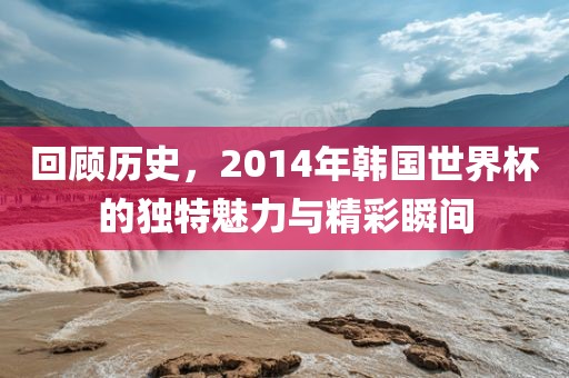 回顾历史，2014年韩国世界杯的独特魅力与精彩瞬间丹东日丰电子有限公司