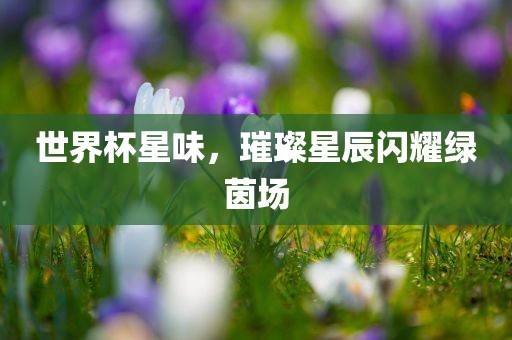 世界杯星味，璀璨星辰闪耀绿茵场丹东日丰电子有限公司
