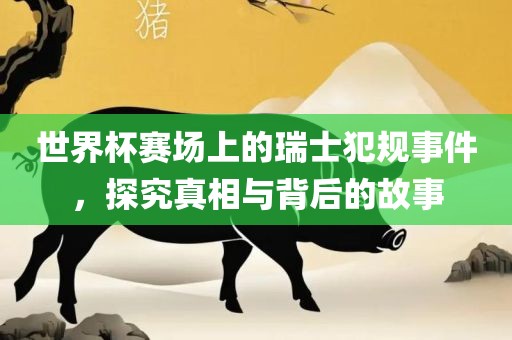 世界杯赛场上的瑞士犯规事件，探究真相与背后的故事丹东日丰电子有限公司