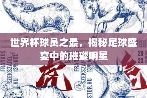 世界杯球员之最，揭秘足球盛宴中的璀璨明星丹东日丰电子有限公司