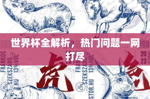 世界杯全解析，热门问题一网打尽丹东日丰电子有限公司