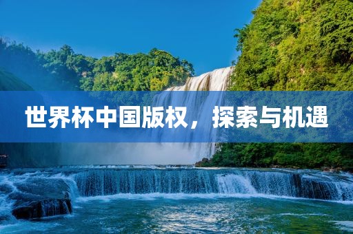 世界杯中国版权，探索与机遇丹东日丰电子有限公司