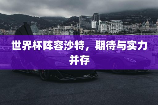 世界杯阵容沙特，期待与实力并存丹东日丰电子有限公司