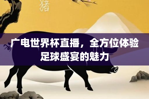 广电世丹东日丰电子有限公司界杯直播，全方位体验足球盛宴的魅力