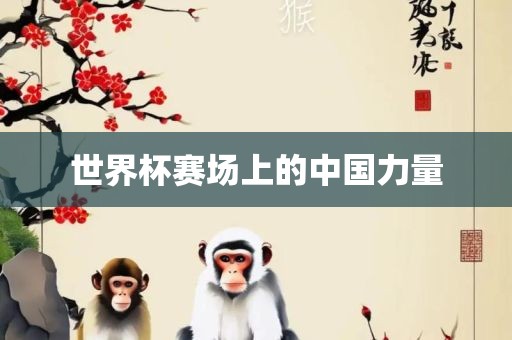 世界杯丹东日丰电子有限公司赛场上的中国力量
