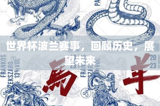 世界杯波兰赛事，回顾历史，展望未来丹东日丰电子有限公司