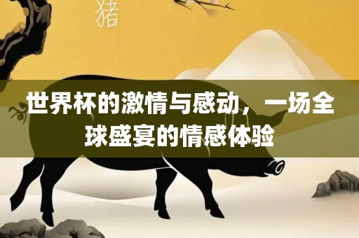 世界杯的激情与感动，一场全球盛宴的情感体验丹东日丰电子有限公司