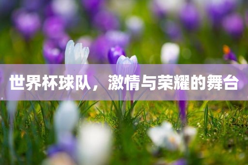 世界杯球队，激情与荣耀的舞台