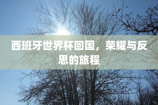 西班牙世界杯回国，荣耀与反思的旅程丹东日丰电子有限公司