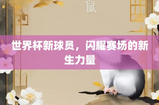 世界杯新球员，闪耀赛场的新生力量丹东日丰电子有限公司