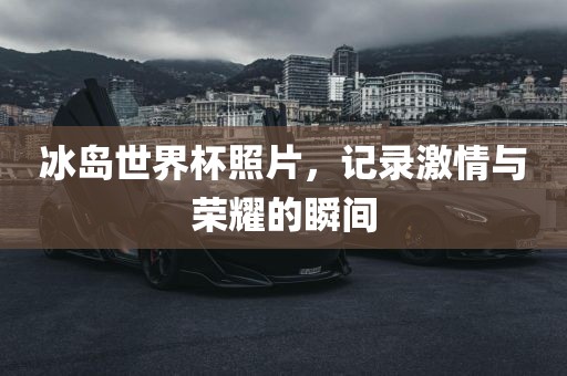冰岛世界杯照片，记录激情与荣耀的瞬间丹东日丰电子有限公司