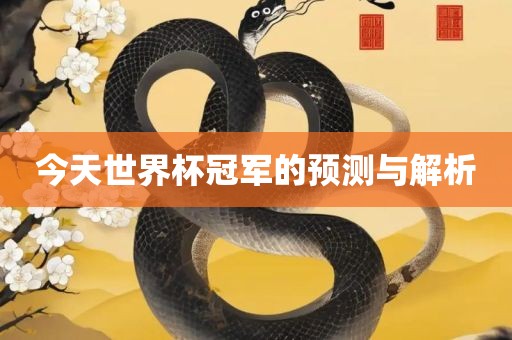 今天世界杯冠军的预测与解析