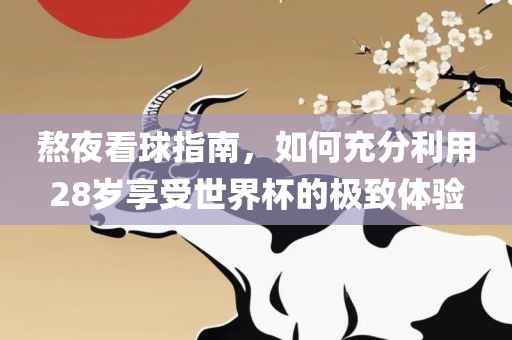 熬夜看球指南，如何充分利用28岁享受世丹东日丰电子有限公司界杯的极致体验