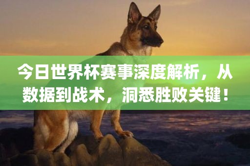 今日世界杯赛事深度解析，从数据到战术，洞悉胜败关键！丹东日丰电子有限公司