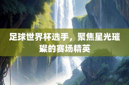 足球世界杯选手，聚焦丹东日丰电子有限公司星光璀璨的赛场精英